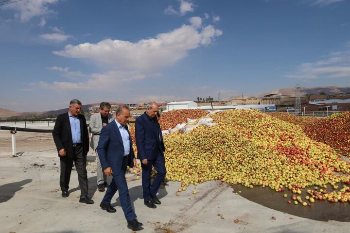 رئیس جهاد کشاورزی آذربایجان‌شرقی: نباید اجازه دهیم سیب باغداران به ضایعات تبدیل شود