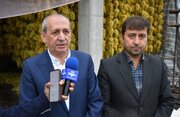 تولید ۳۴۰ هزار تن انگور در آذربایجان شرقی