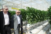 استاندار آذربایجان شرقی: دانشگاه باید در خدمت تولید و کشاورزی دانش‌بنیان باشد