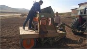 آغاز کشت پاییزه هوراند با تمرکز بر بذور مقاوم و کشت مکانیزه