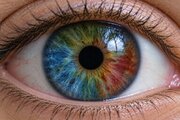 کدام یک از والدین تأثیر بیشتری در به ارث بردن رنگ چشم نوزاد دارد؟