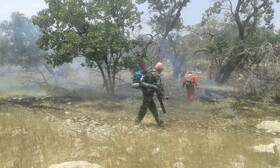 آتش سوزی منطقه حفاظت شده "خامی" گچساران مهار شد