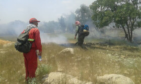 بیش از ۱۵۰ هکتار جنگل و مرتع گچساران در آتش سوخت