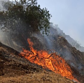 آتش سوزی جنگل های "دیل" گچساران همچنان ادامه دارد