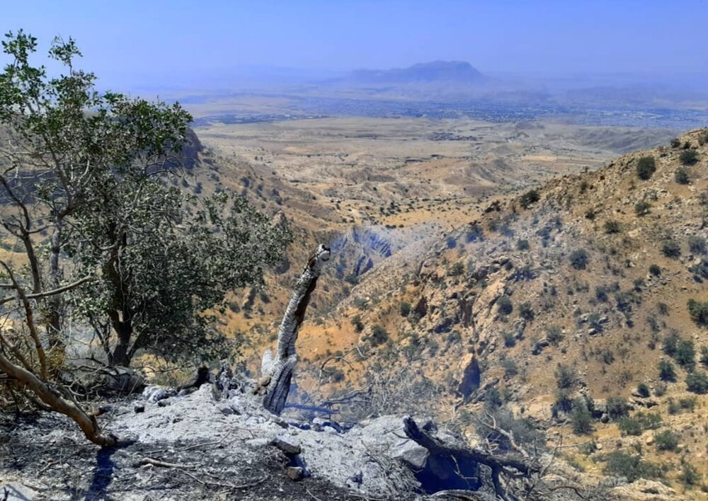 مهار کامل آتش سوزی جنگلهای گچساران