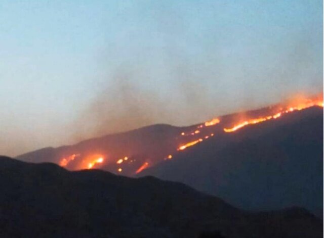 آتش سوزی گسترده در منطقه حفاطت شده خائیز/ استمداد بخشدار مرکزی کهگیلویه برای مهار آتش سوزی