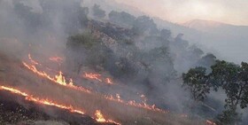 درخواست بالگرد از ارتش و سپاه جهت مهار آتش سوزی جنگل های خائیز کهگیلویه
