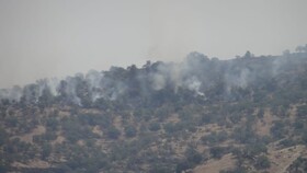 درخواست کمک استاندار کهگیلویه‌وبویراحمد برای مهار آتش‌سوزی خائیز