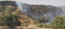 آتش سوزی در جنگل‌های منطقه حفاظت شده خائیز کهگیلویه