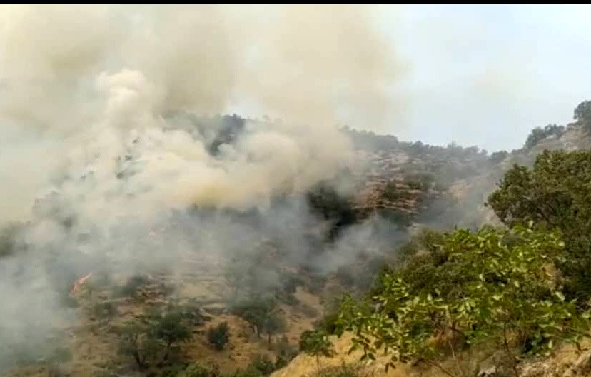 آخرین وضعیت آتش سوزی جنگل‌های خائیز
