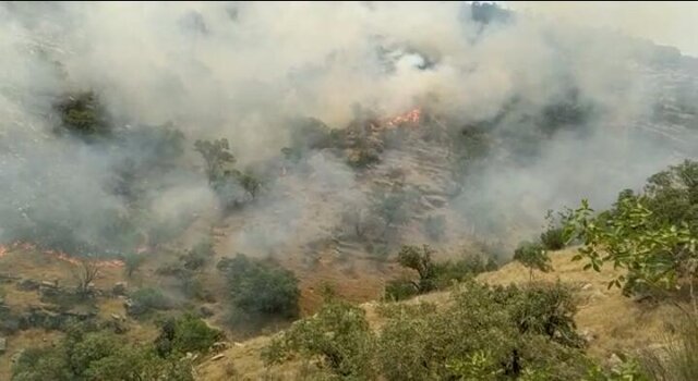 شعله ور شدن مجدد آتش سوزی منطقه حفاظت شده خائیز/ تقاضای کمک از مردم داریم