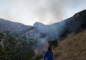 مهار آتش سوزی جنگل‌های "شلالدون" باشت