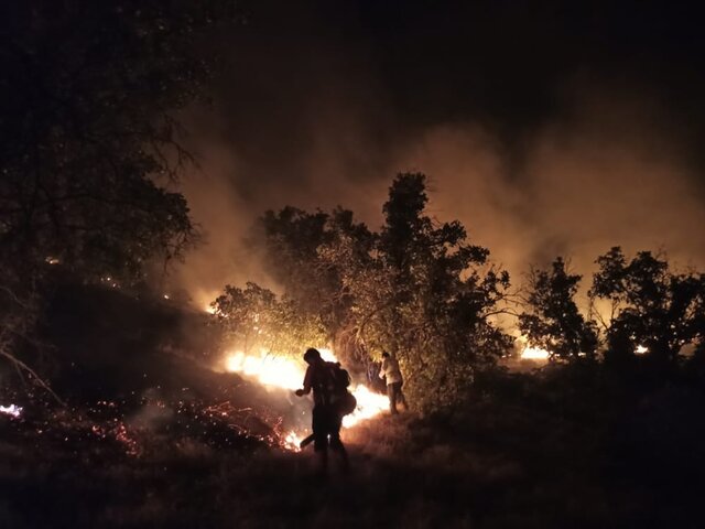 مهار آتش سوزی جنگل‌ها "دمچنار"بویراحمد پس از سه شبانه روز
