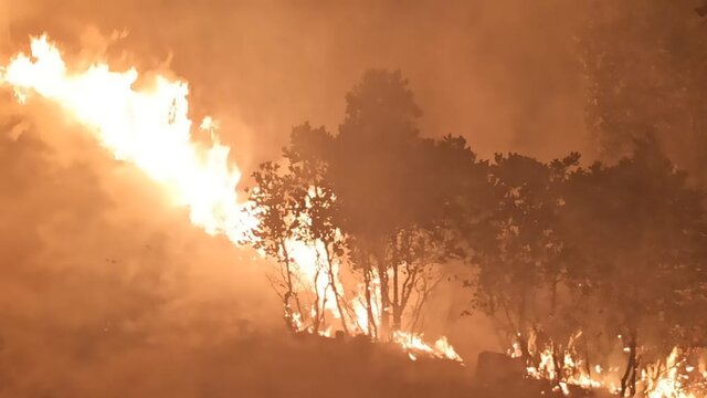 مهار آتش جنگل‌های "دمچنار" بویراحمد پس از شلعه ور شدن مجدد