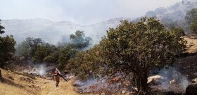 آتش سوزی منطقه حفاظت شده دنا پس از ۳ شبانه روز مهار شد