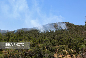 آتش سوزی گسترده در جنگل‌های ارتفاعات "درشک" بویراحمد