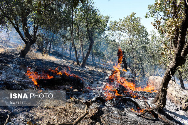 دست کهگیلویه و بویراحمد برای مقابله با آتش سوزی جنگل‌ها خالی است