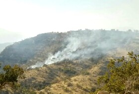 مهار کامل آتش سوزی جنگل‌های گچساران پس از ۴ شبانه روز