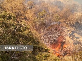 مهار آتش سوزی جنگل‌ها و مراتع کوه نور چرام بعد از ۶ شبانه روز