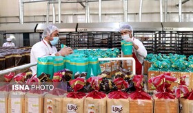 پیشنهاد سازنده اولین تولیدکننده نان حجیم بلوط در خاورمیانه