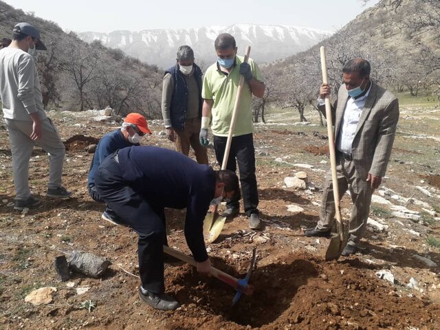 کاشت ۱۵۰ اصله نهال بلوط توسط رئیس و کارکنان دانشگاه علوم پزشکی یاسوج