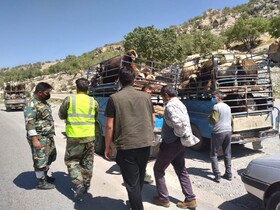 ممنوعیت ورود عشایر به مناطق ییلاقی شهرستان بویراحمد قبل از ۱۵ اردیبهشت