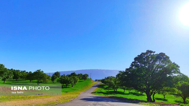 طبیعت زیبای بهاری اطراف شهر قلعه رئیسی