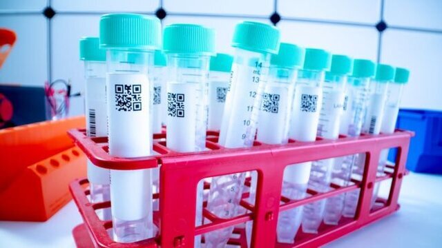 معرفی کارمندان کهگیلویه و بویراحمد شرکت کننده در تجمعات طی شرایط کرونایی به دادگاه تخلفات اداری