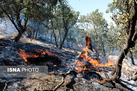 مهار آتش سوزی جنگل ها و مراتع منطقه حفاظت شده دنا