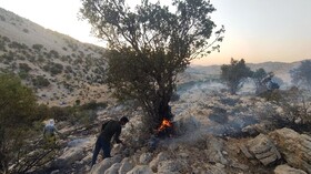 آتش سوزی جنگل‌ها و مراتع« سرگچینه» شهرستان بویراحمد مهار شد