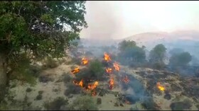 مهار آتش سوزی جنگل‌ها و مراتع «وزگ» بویراحمد