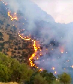 اعمال اشد مجازات قانونی برای عاملان آتش سوزی جنگل‌ها