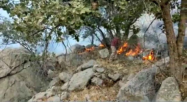 ادامه آتش گسترده در ۳ منطقه جنگل‌های نارک گچساران/ نیروها خسته شدند و بالگرد نیست