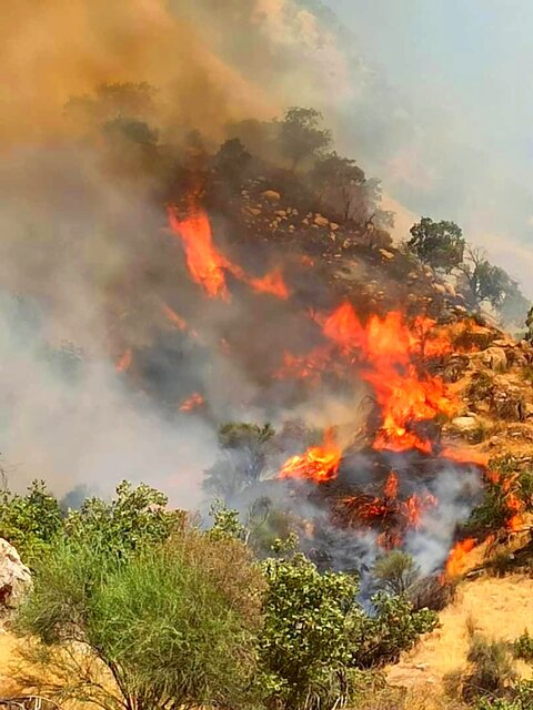 بخش اعظمی از آتش جنگل‌های گچساران کنترل شده/ باد شدید مانع پرواز بالگردها شده