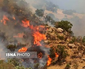 مهار آتش سوزی جنگل‌های نارک گچساران/آتش در چند نقطه از منطقه حفاظت شده خامی