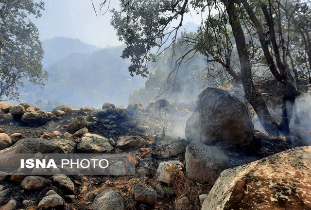 مهار آتش سوزی جنگل‌های "نارک" گچساران/آتش در چند نقطه از منطقه حفاظت شده "خامی"