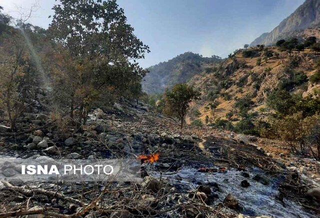 مهار آتش سوزی جنگل‌های نارک گچساران/آتش در چند نقطه از منطقه حفاظت شده خامی
