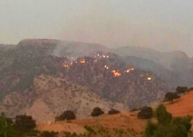 آتش سوزی جنگل‌های منطقه شیخ هابیل کهگیلویه تحت کنترل است