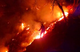 تلاش‌ها برای مهار آتش سوزی جنگل‌های «کوه شره» کهگیلویه ادامه دارد