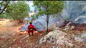 مهار آتش سوزی جنگل‌های کوه کرک شهرستان چرام