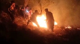 آتش سوزی جنگل‌های کوه «نیر» همچنان ادامه دارد