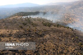 مهار آتش سوزی جنگل های ارتفاعات منطقه گناوه لری گچساران