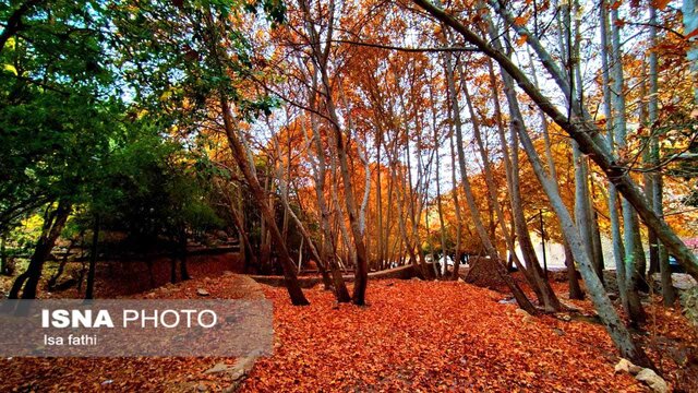 پاییز هزار رنگ در یاسوج