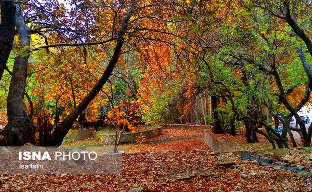 ثبت ۱۳۳میلیمتر باران در"قلعه دختر" کهگیلویه و بویراحمد ثبت ۱۳۳میلیمتر باران در"قلعه دختر" کهگیلویه و بویراحمد