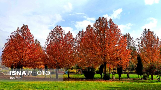 پاییز هزار رنگ در یاسوج