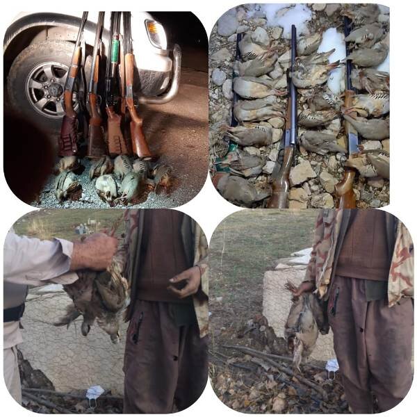 دستگیری ۶ نفر متخلف محیط زیست در کهگیلویه و بویراحمد دستگیری ۶ نفر متخلف محیط زیست در کهگیلویه و بویراحمد