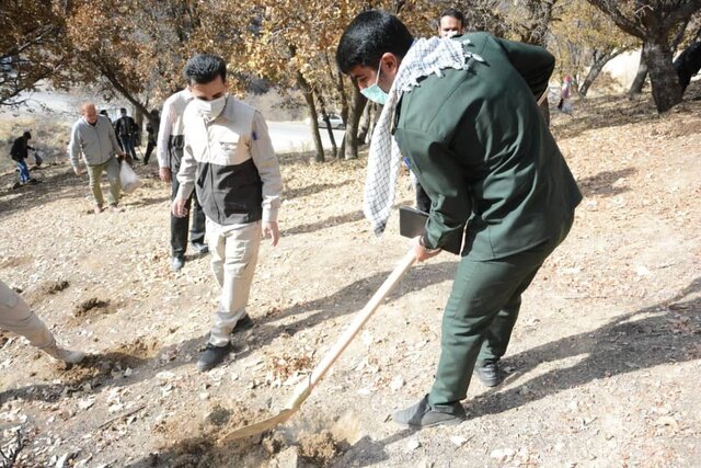 طرح بذرکاری جنگل های کهگیلویه و بویراحمد اجرا شد
