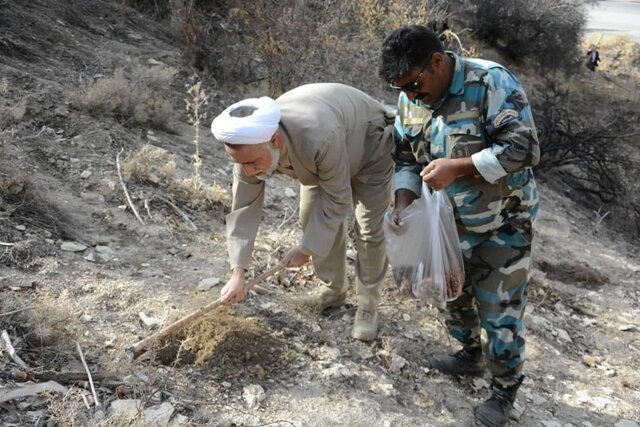 طرح بذرکاری جنگل های کهگیلویه و بویراحمد اجرا شد
