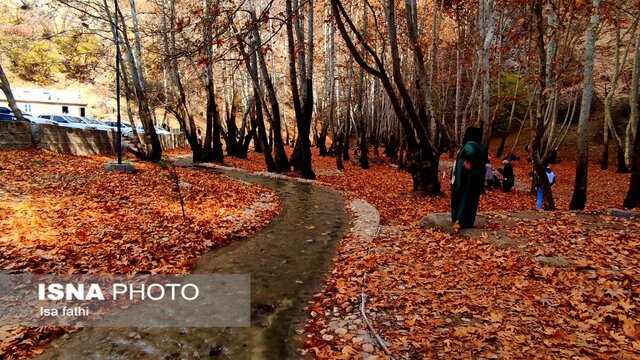 ایران زیباست؛ پاییز «تنگ گنجه ای»
