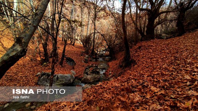 ایران زیباست؛ پاییز «تنگ گنجه ای»